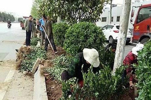 園林綠化施工